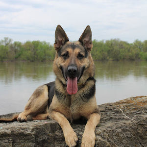 Meet your Posher, Dana